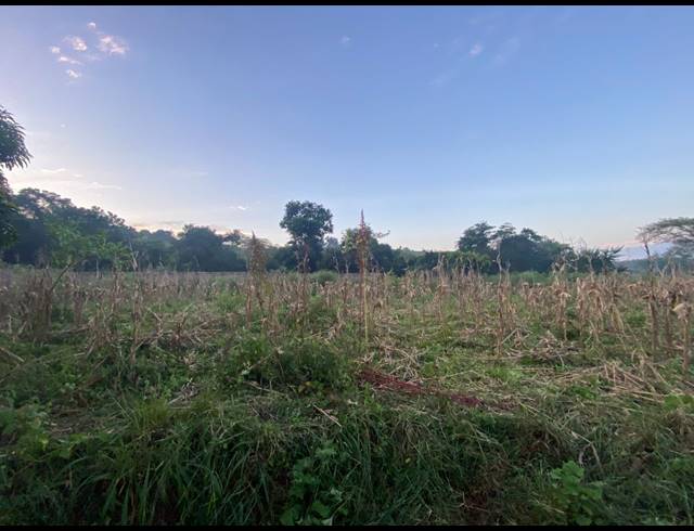 4,500M² VACANT LAND FOR SALE IN NGOVHELA